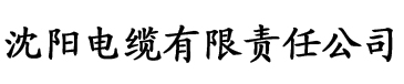 亚洲欧美在线精品一区二区电缆厂logo